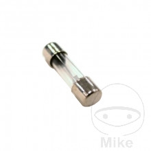 Glassicherung 30 mm 1 St�ck.