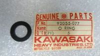 O-Ring 19,5 mm sitzt in der lwanne/lpumpe Kawasaki.