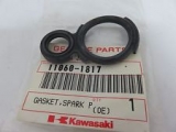 Zndkerzenschachtdichtung Kawasaki ZX9R 1998-2001 1 Stck Neu.
